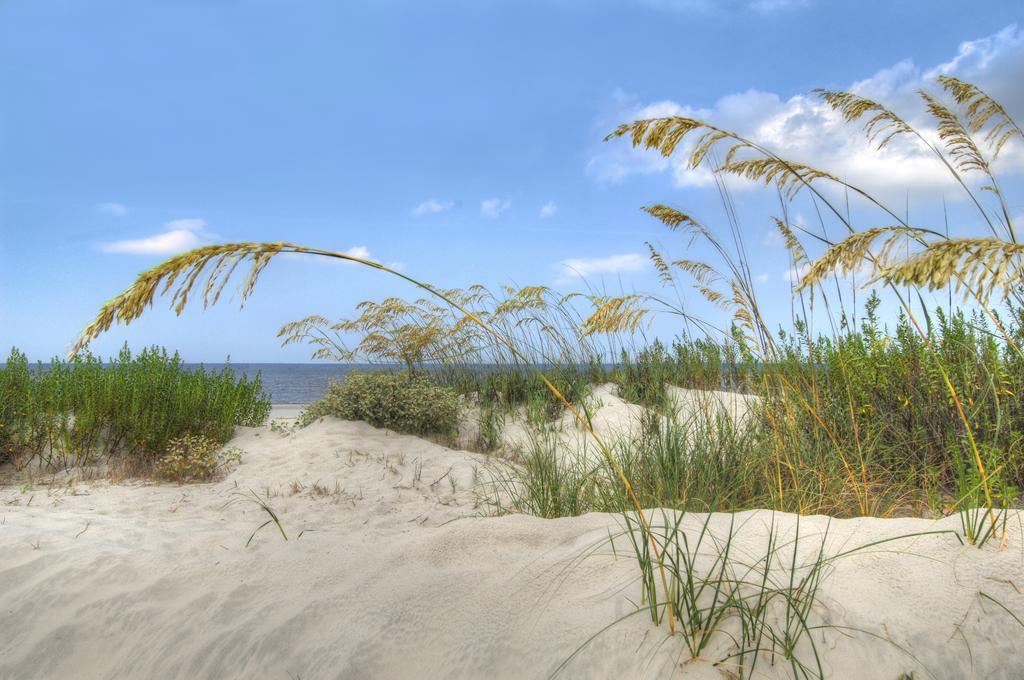 Villa Apartments By The Sea リエパーヤ エクステリア 写真